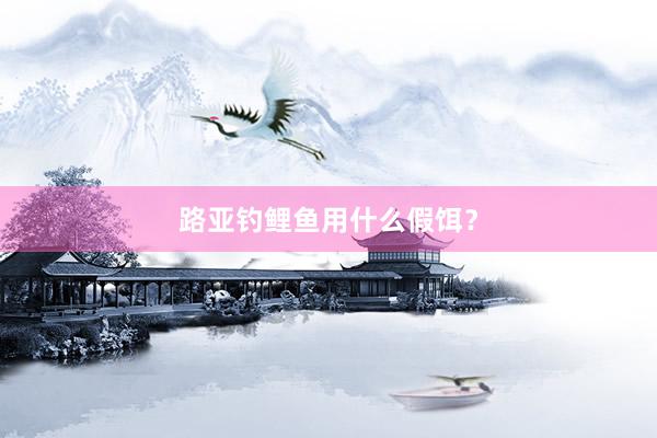 路亚钓鲤鱼用什么假饵？