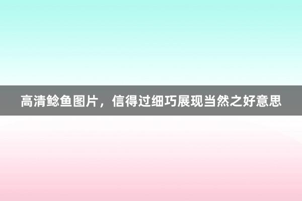 高清鲶鱼图片，信得过细巧展现当然之好意思